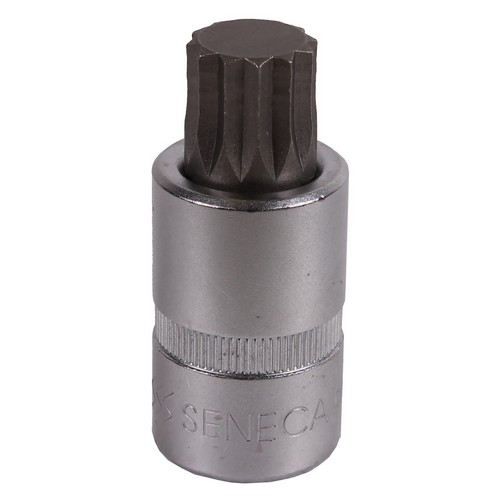[244805512] Spline socket bit 1/2